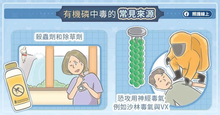 有機磷毒性藏在哪?