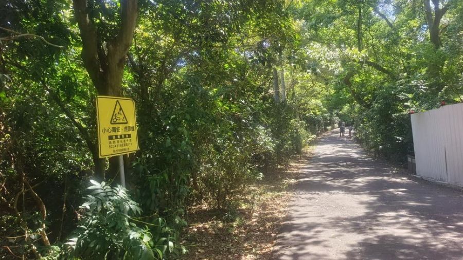 竹市十八尖山蛇出沒 市府:提醒民眾注意防範