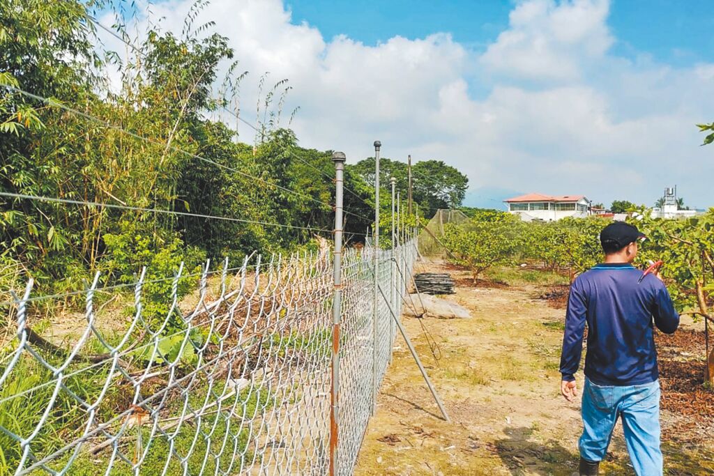 目前全台有台東縣東河鄉等6處設置電圍網示範點。(圖／黃仁國會辦公室)