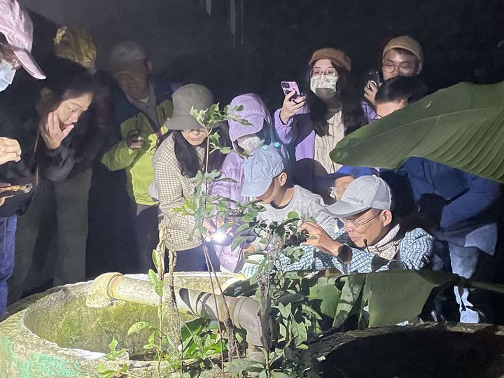 到池南chill一夏!蹓市集、定向盃、夜探森林秘境