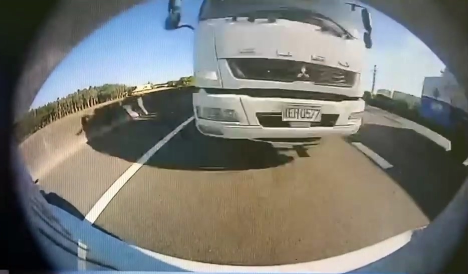 翻攝自網路