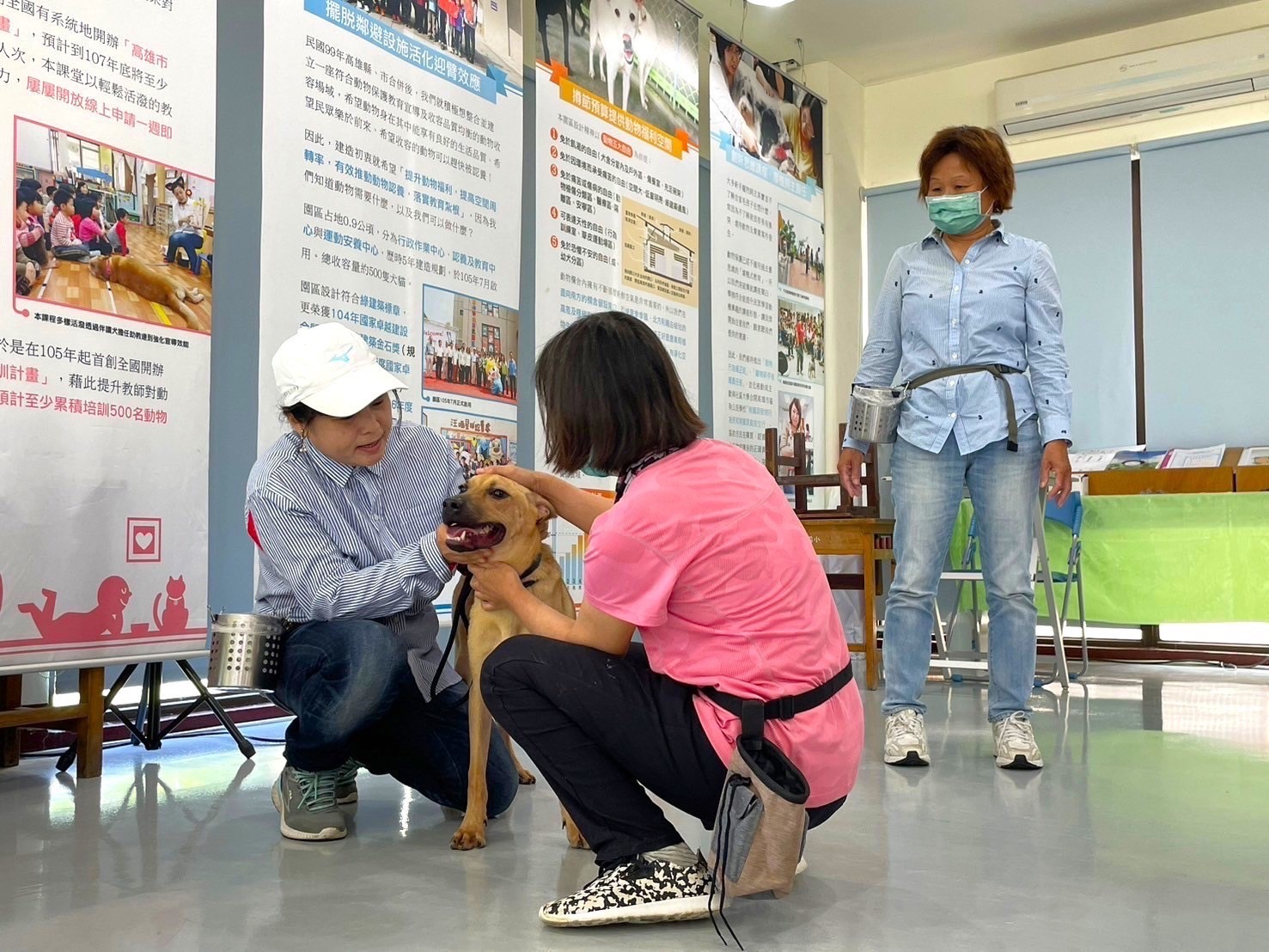 今夏最hot  動保處首創訓犬課程 讓你更懂毛小孩