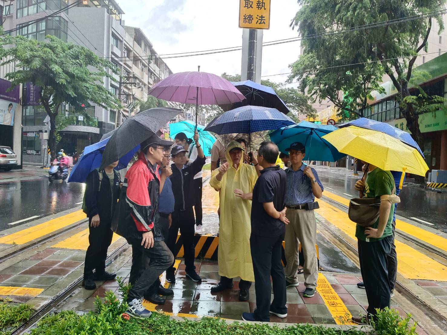 守護高雄地標綠巨人隧道，輕軌加強沿線防颱護樹整備