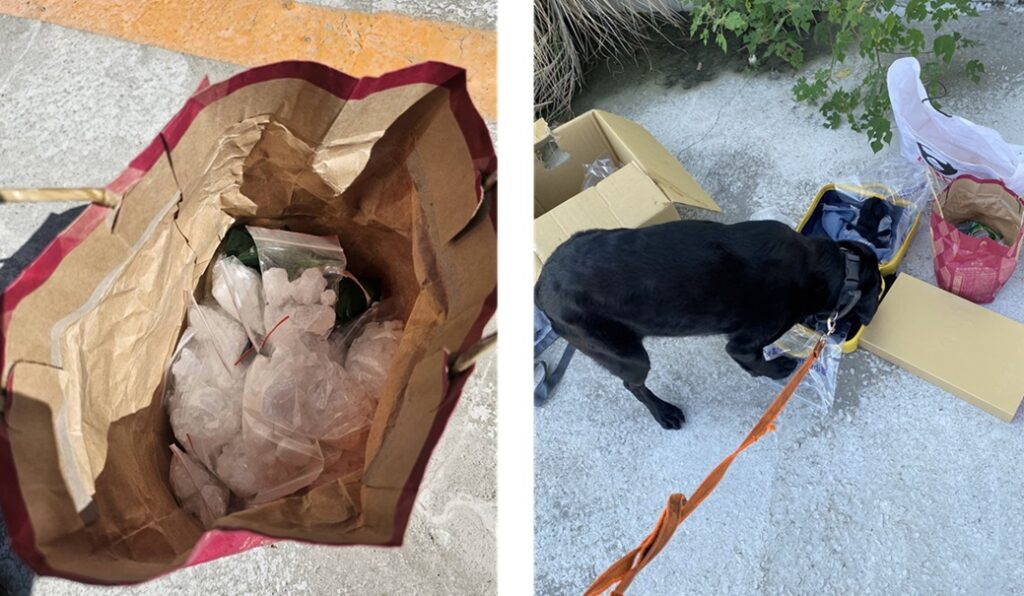 ▲圖說：毒販遭逮後拒不吐實，緝毒犬Candy於廢棄車輛中找出槍毒             （圖／台中市政府 提供）