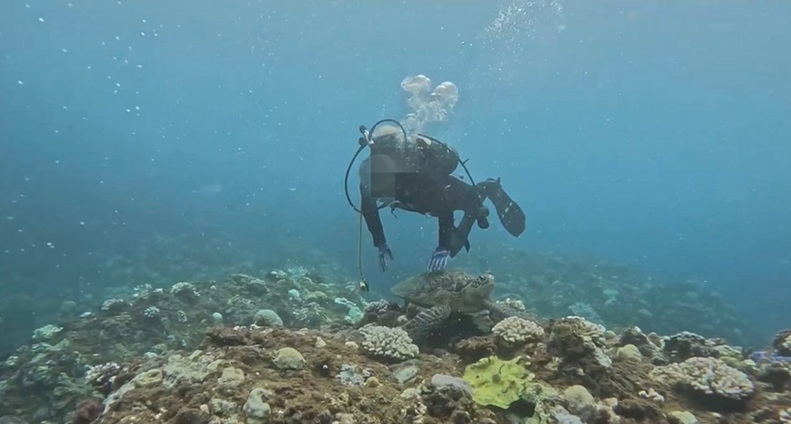 墾丁潛水客違法觸摸海龜 海巡循線追查