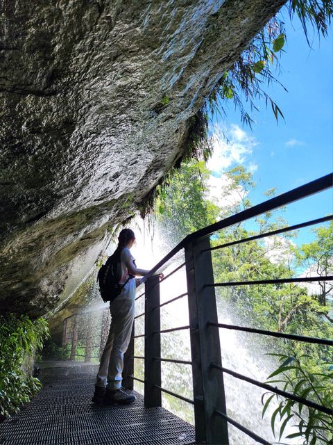 消暑旅行／嘉義暢遊竹坑溪步道、觀音瀑布 體驗製茶、手撈紙