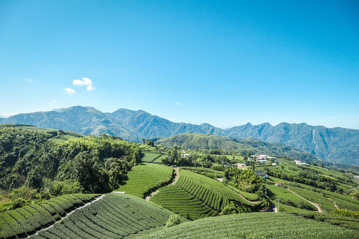 消暑旅行／嘉義暢遊竹坑溪步道、觀音瀑布 體驗製茶、手撈紙