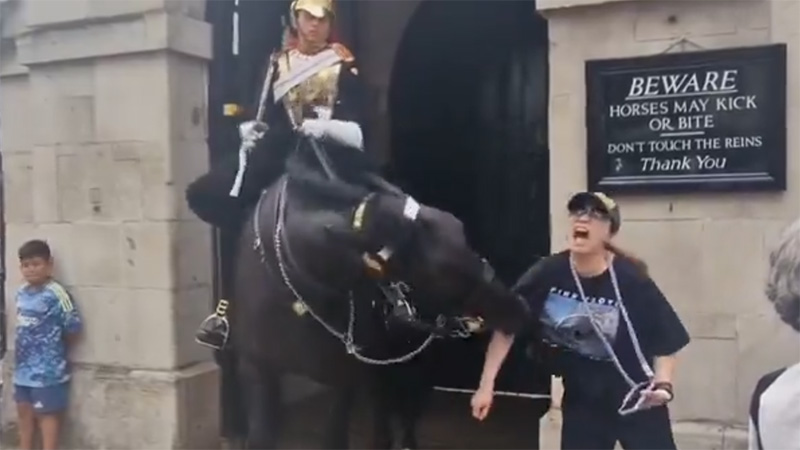 英國《每日郵報》報道一名女遊客在倫敦皇家騎兵衛隊博物館與衛隊合照時,被馬匹咬傷,女遊客表情痛苦。圖/x@zakisolja)