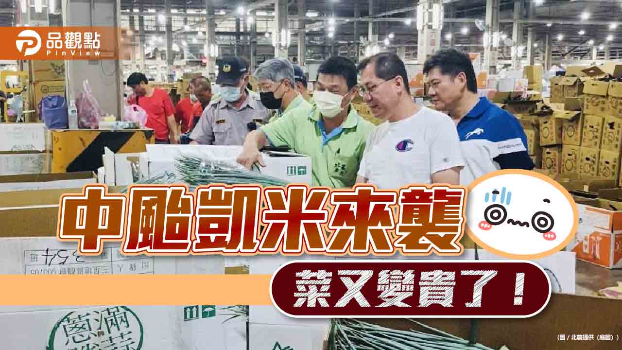 菜變貴了！凱米侵台影響 北農：預期心理致菜價上揚