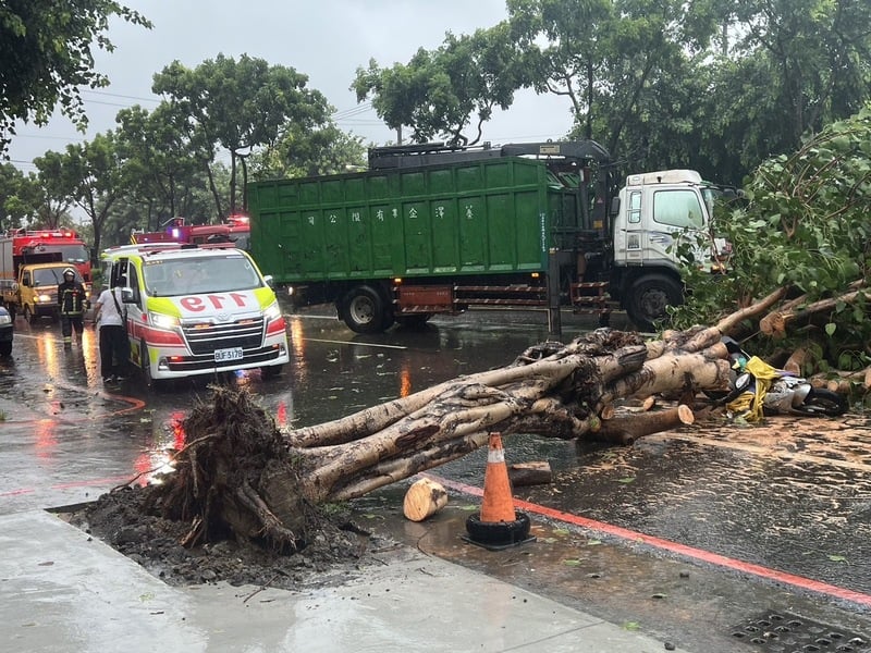 颱風凱米侵襲帶來強烈風雨,一名婦人24日中午騎車行經高雄鳳山區建國路一段時,遭倒塌路樹壓傷。消防局提供