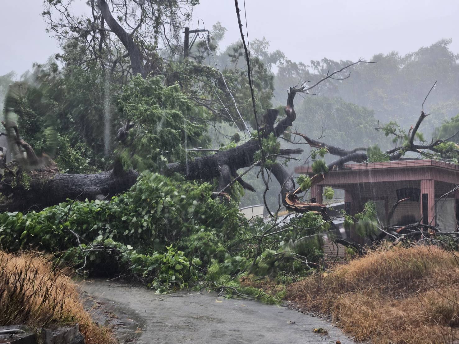 凱米颱風夾帶豪雨!高雄曾三萬戶停電 逾7成已復電