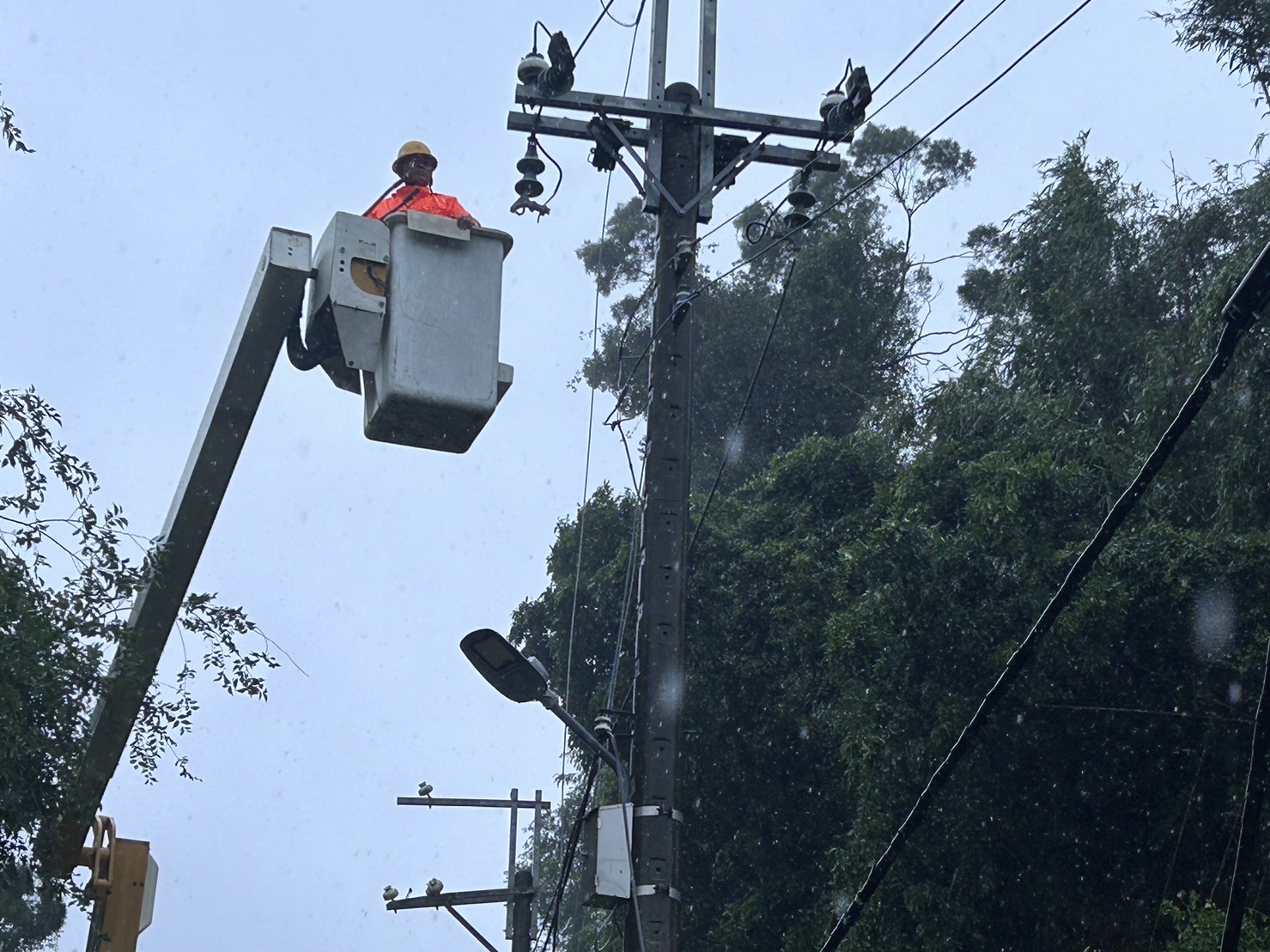 ▲台南市龍崎區大樹壓斷高壓線，台電人員進行樹木砍伐及停電事故處理。（圖／台電台南區處提供）