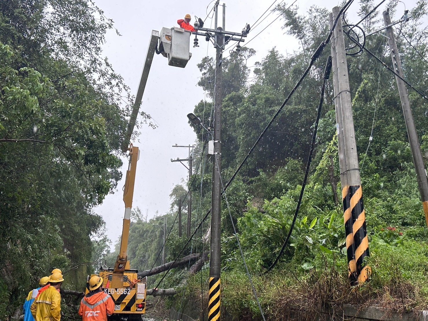 ▲台南市龍崎區大樹壓斷高壓線，台電人員進行樹木砍伐及停電事故處理。（圖／台電台南區處提供）