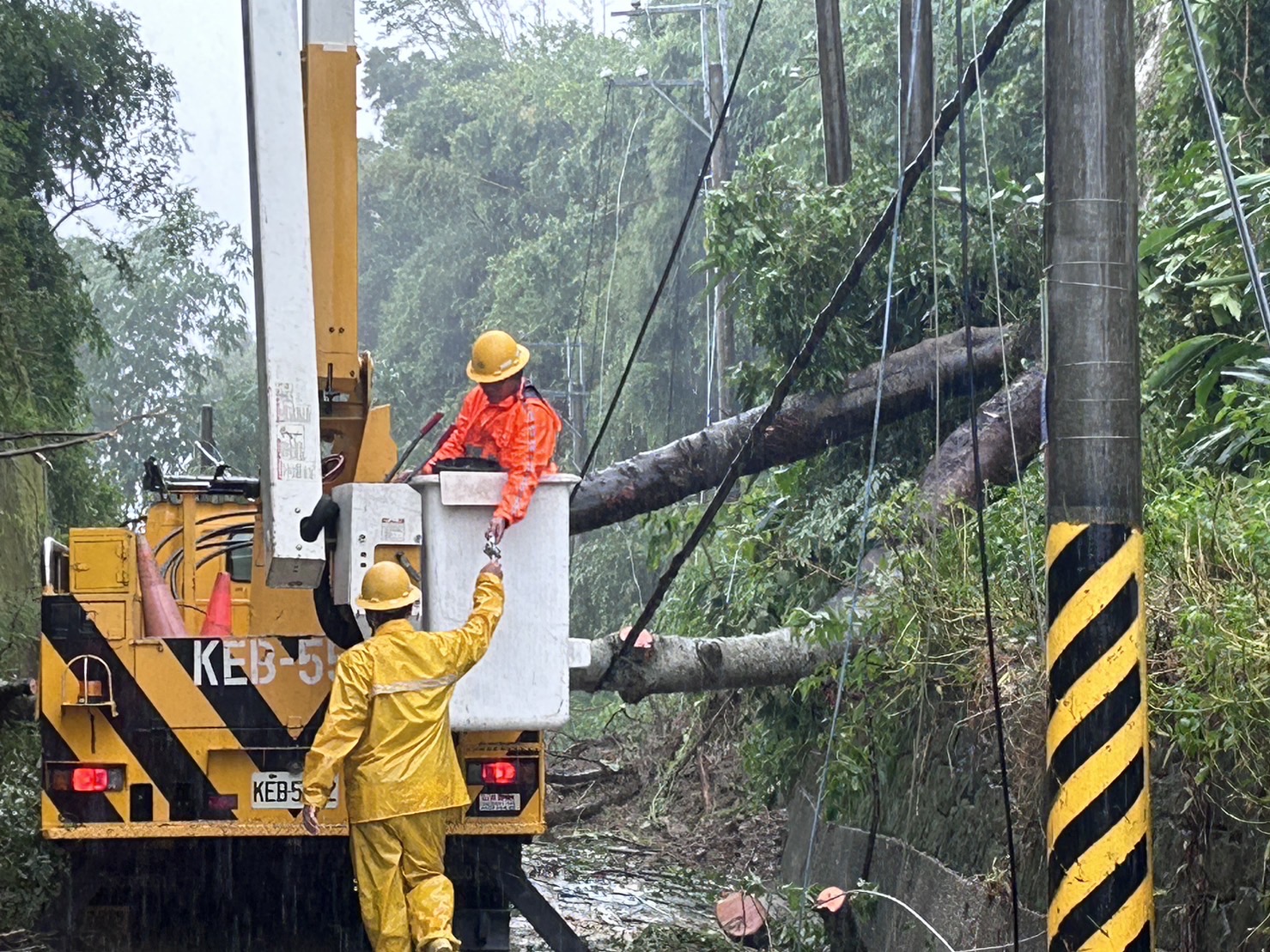 ▲台南市龍崎區大樹壓斷高壓線，台電人員進行樹木砍伐及停電事故處理。（圖／台電台南區處提供）