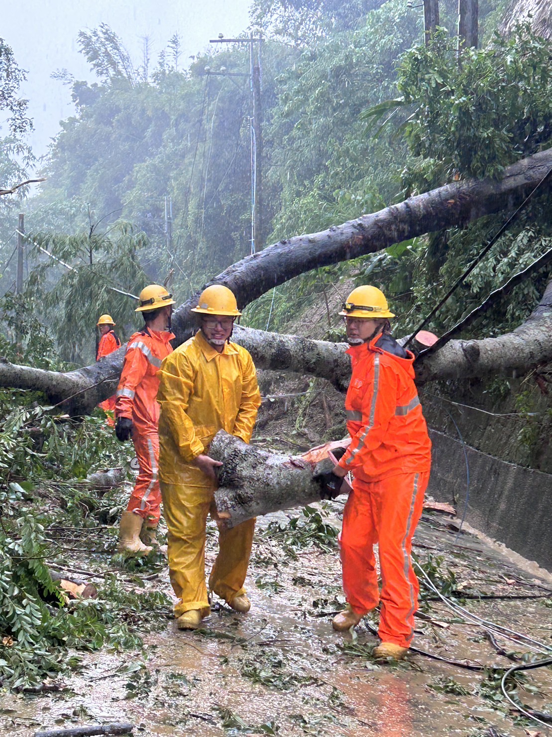 ▲台南市龍崎區大樹壓斷高壓線，台電人員進行樹木砍伐及停電事故處理。（圖／台電台南區處提供）