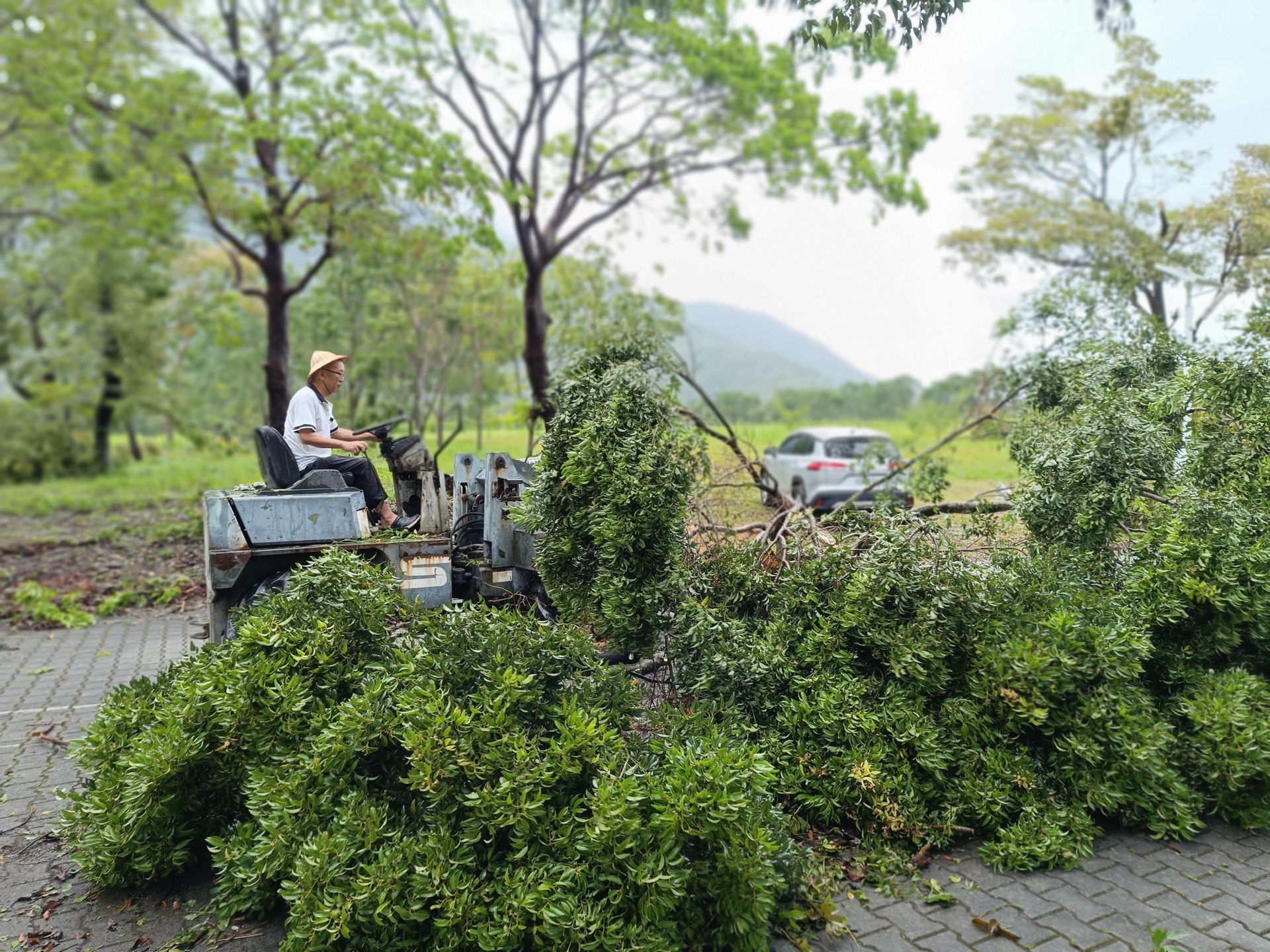 總務處同仁駕駛推土機,務必先清出學生必經的交通要道。