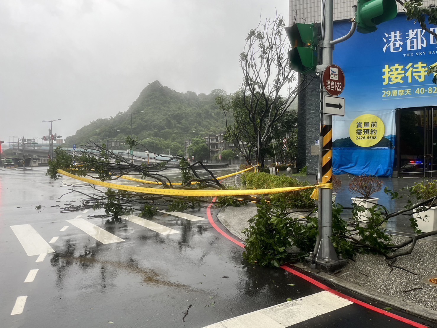 警方清除路樹。（記者薛秀蓮翻攝)