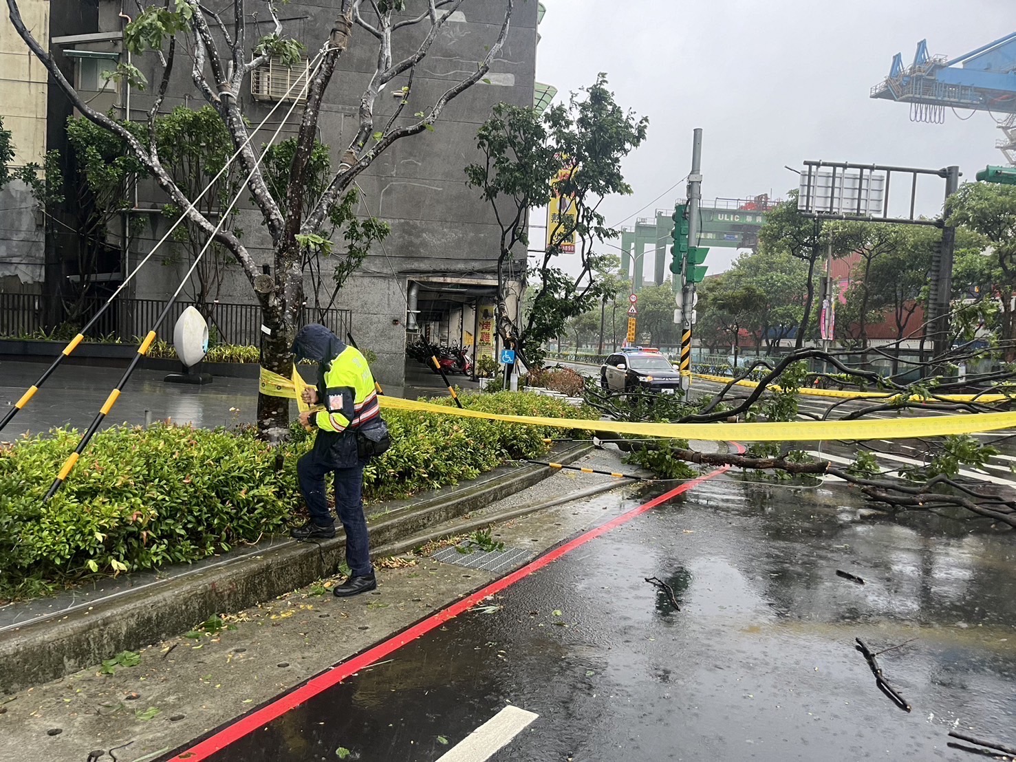 警方清除路樹。（記者薛秀蓮翻攝)