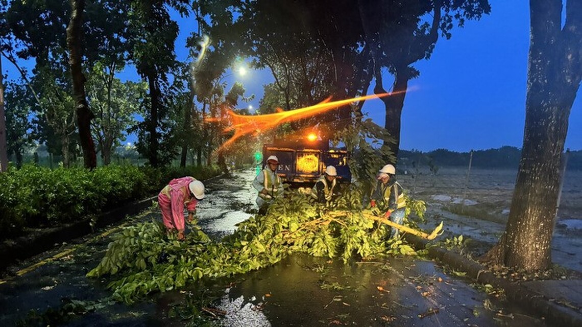 颱風造成台南路樹倒8百株今晚排除
