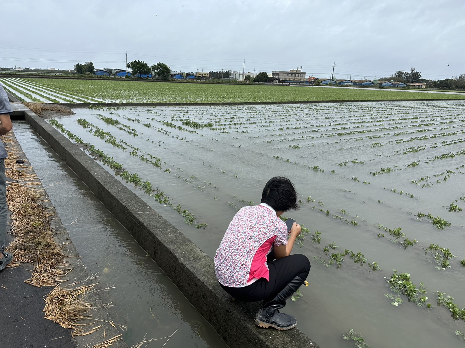 ▲凱米颱風帶來強風豪雨，彰化縣目前仍有半數農田泡在水中，初估彰化縣農損已高達3億元以上。（縣政府提供）