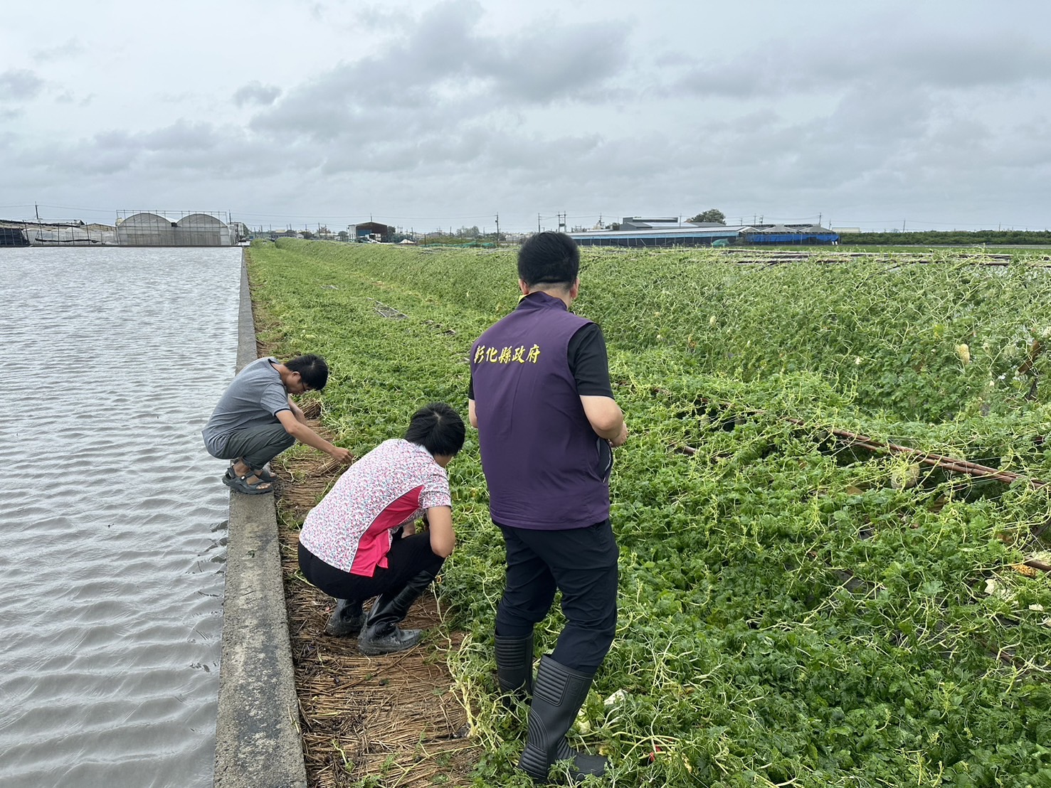 ▲凱米颱風帶來強風豪雨，彰化縣目前仍有半數農田泡在水中，初估彰化縣農損已高達3億元以上。（縣政府提供）