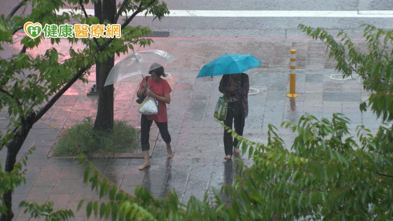 颱風後做好3件事! 預防登革熱、腸胃傳染病、類鼻疽等