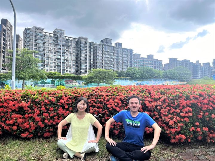 盛夏風光小旅行/暢遊河濱公園 三重河濱公園仙丹花璀璨盛開