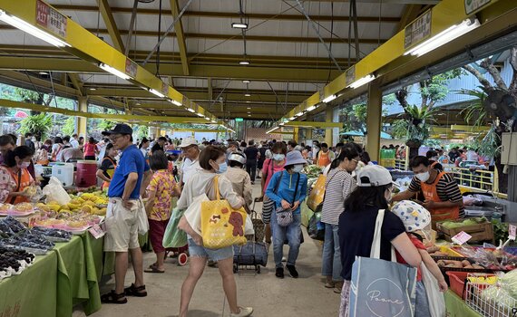 中市優質葡萄、高接梨、水蜜桃 台北希望廣場展售