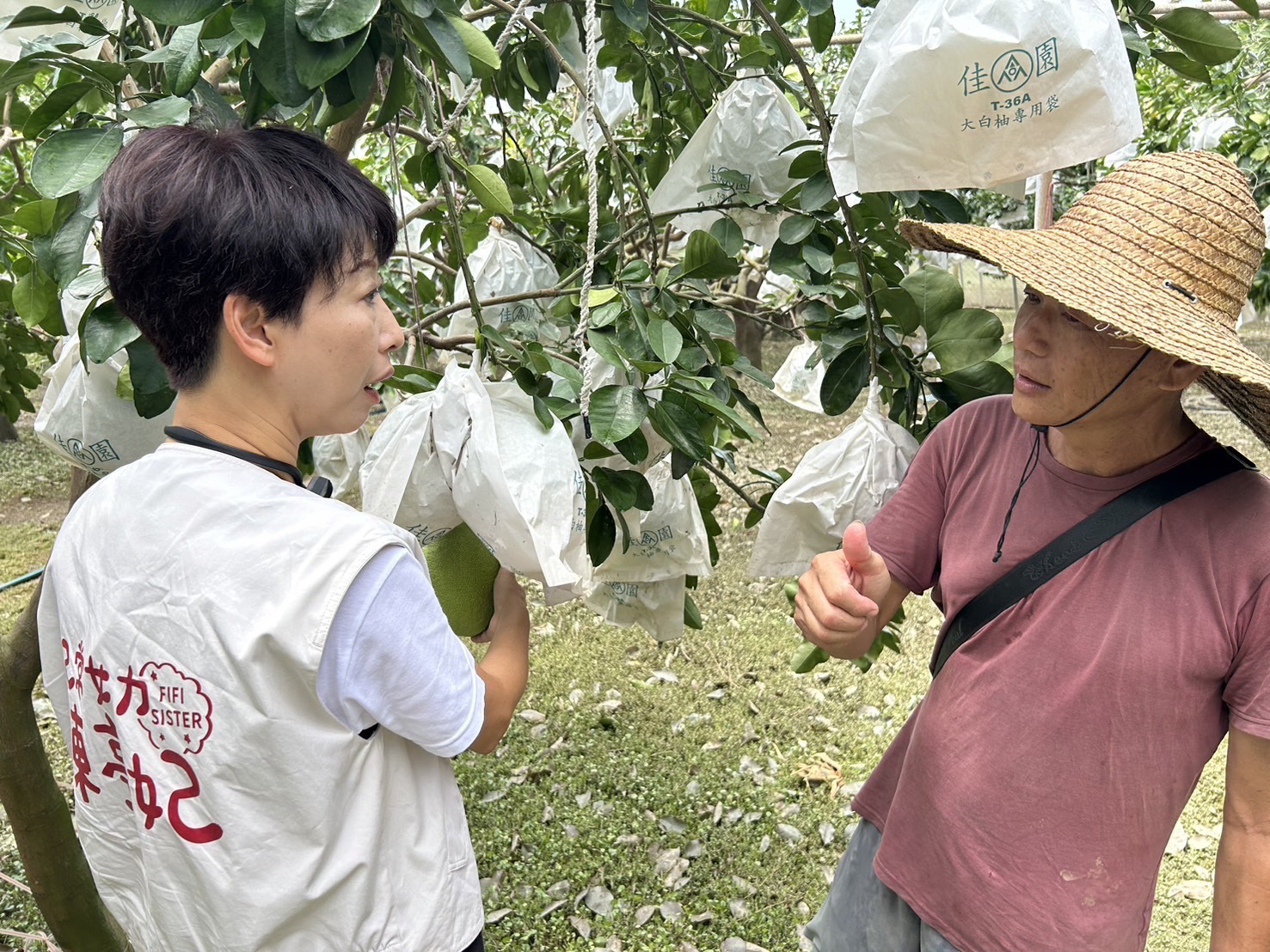 凱米颱風侵襲麻豆區 陳亭妃籲檢討埤頭排水系統 280 凱米颱風侵襲麻豆區 陳亭妃籲檢討埤頭排水系統 279