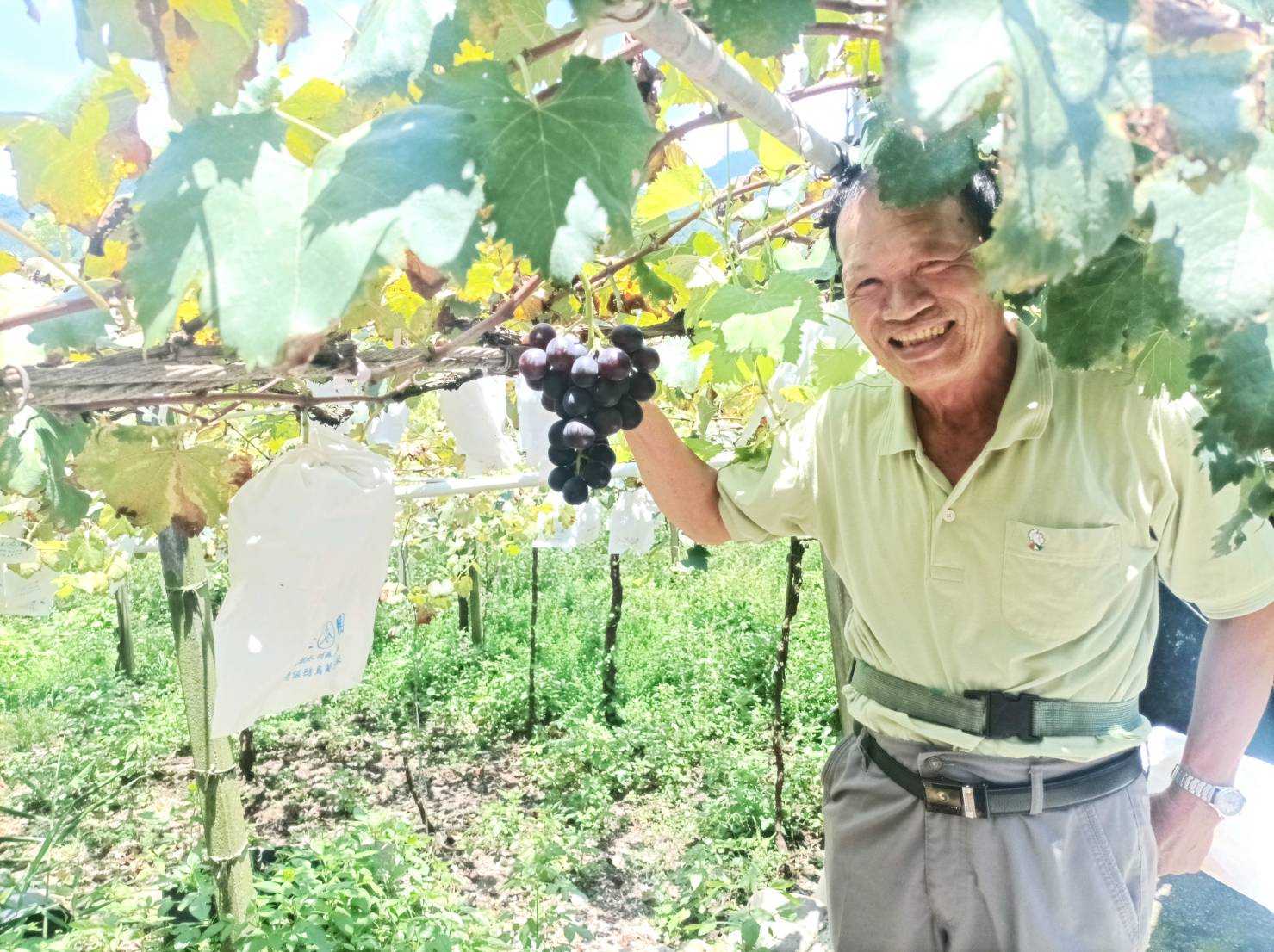 農路維護不間斷　中市水利局：兼顧農產品運送與觀光發展