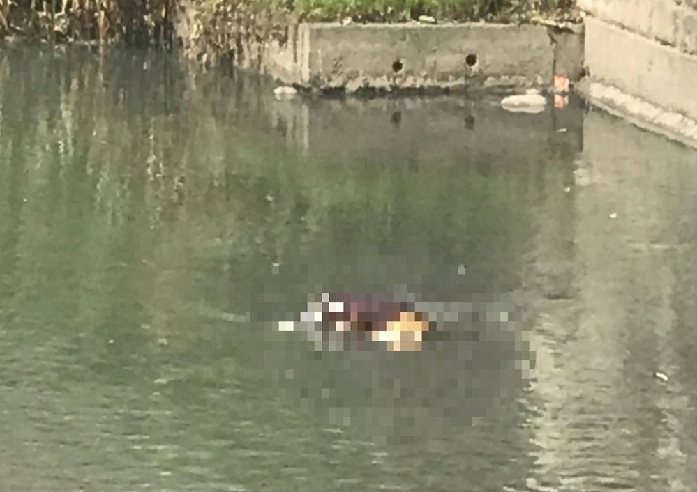 【人彘浮屍2-1】分居27年父子情滅 子為護母悶死老父再分屍沉河 235 cnews204240805a01