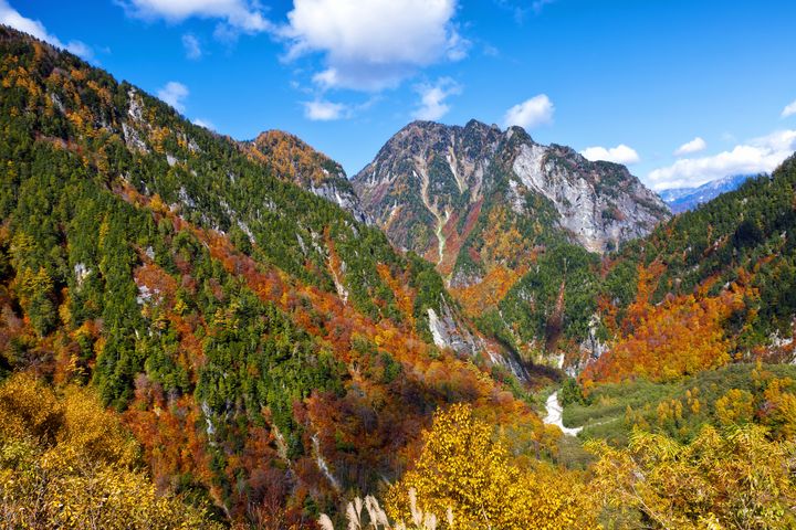 日本賞楓 早訂早享受!8/8-12限時優惠 每人省萬元再享最高8%回饋