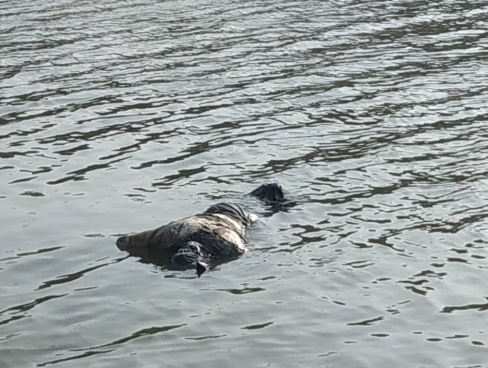 【酒店女殺情郎2-1】 涉家暴劈腿引殺機 彰化1家4口密謀殺人奪財 204 cnews204240401a03