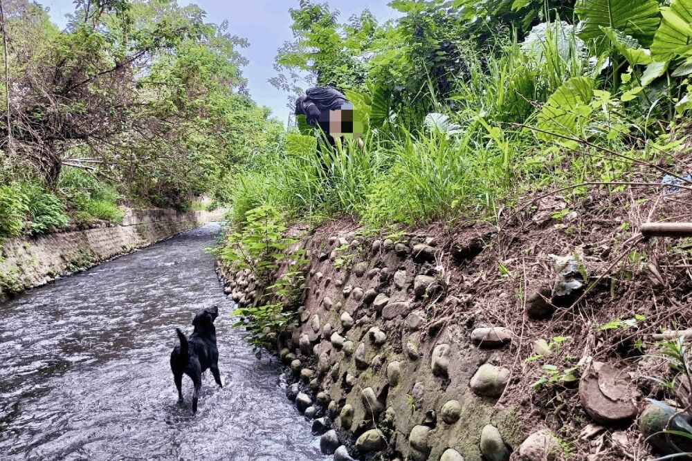 竹市搜救犬Clay尋獲走失老婦 邱臣遠:期盼世界賽勇奪佳績 201 照片來源:新竹市政府