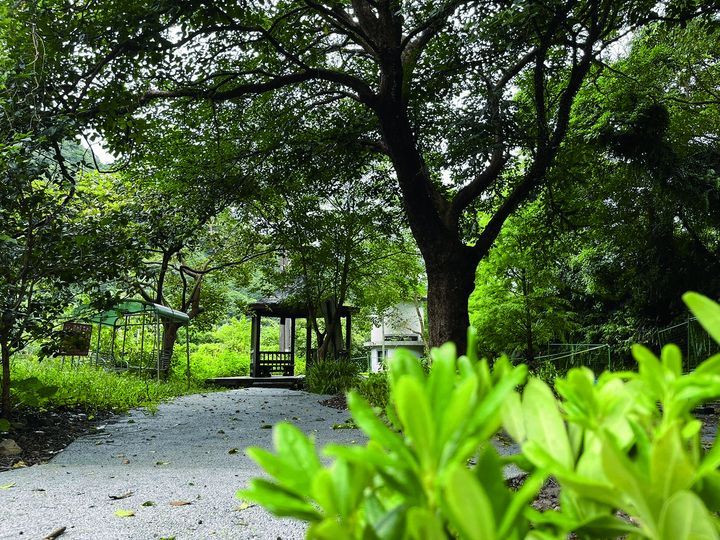 「龘上旅程 龍旅行大運」結合新北觀光三環六線 悠遊FUN心玩!