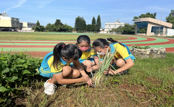 中市教育局獲第四屆TSAA台灣永續行動金銀獎 推動永續淨零創佳績