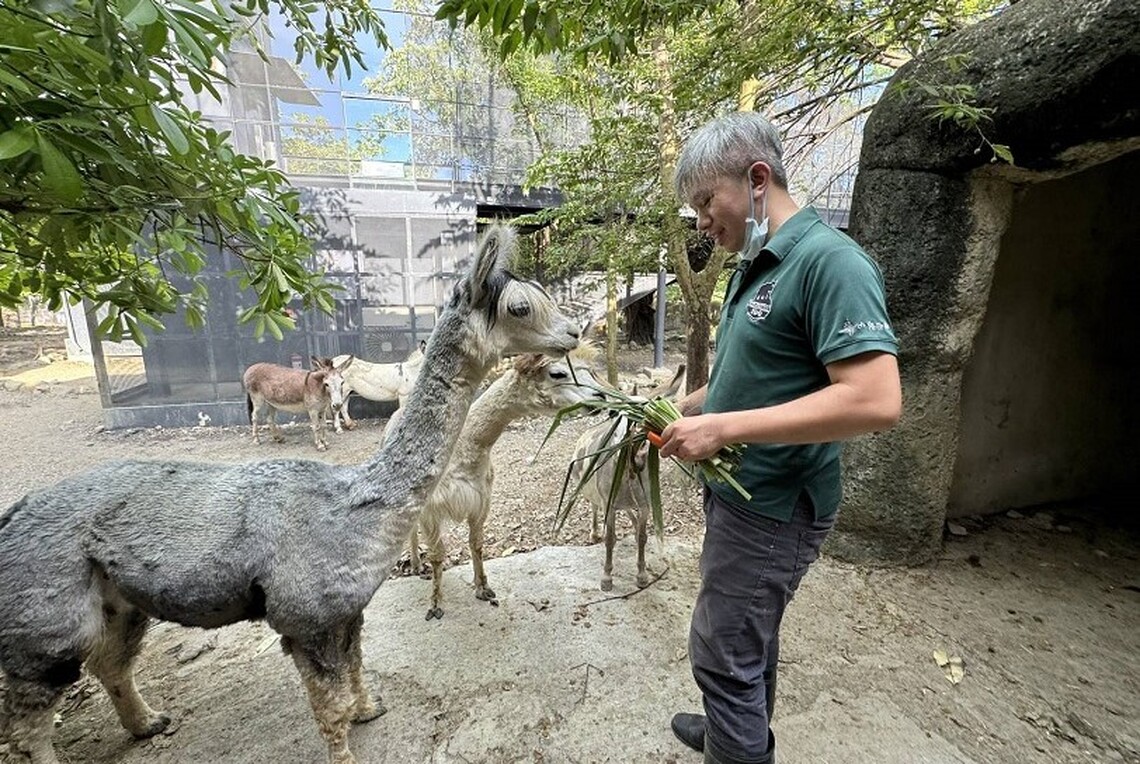 父愛如山！壽山動物園向辛勤的超級動物奶爸致敬