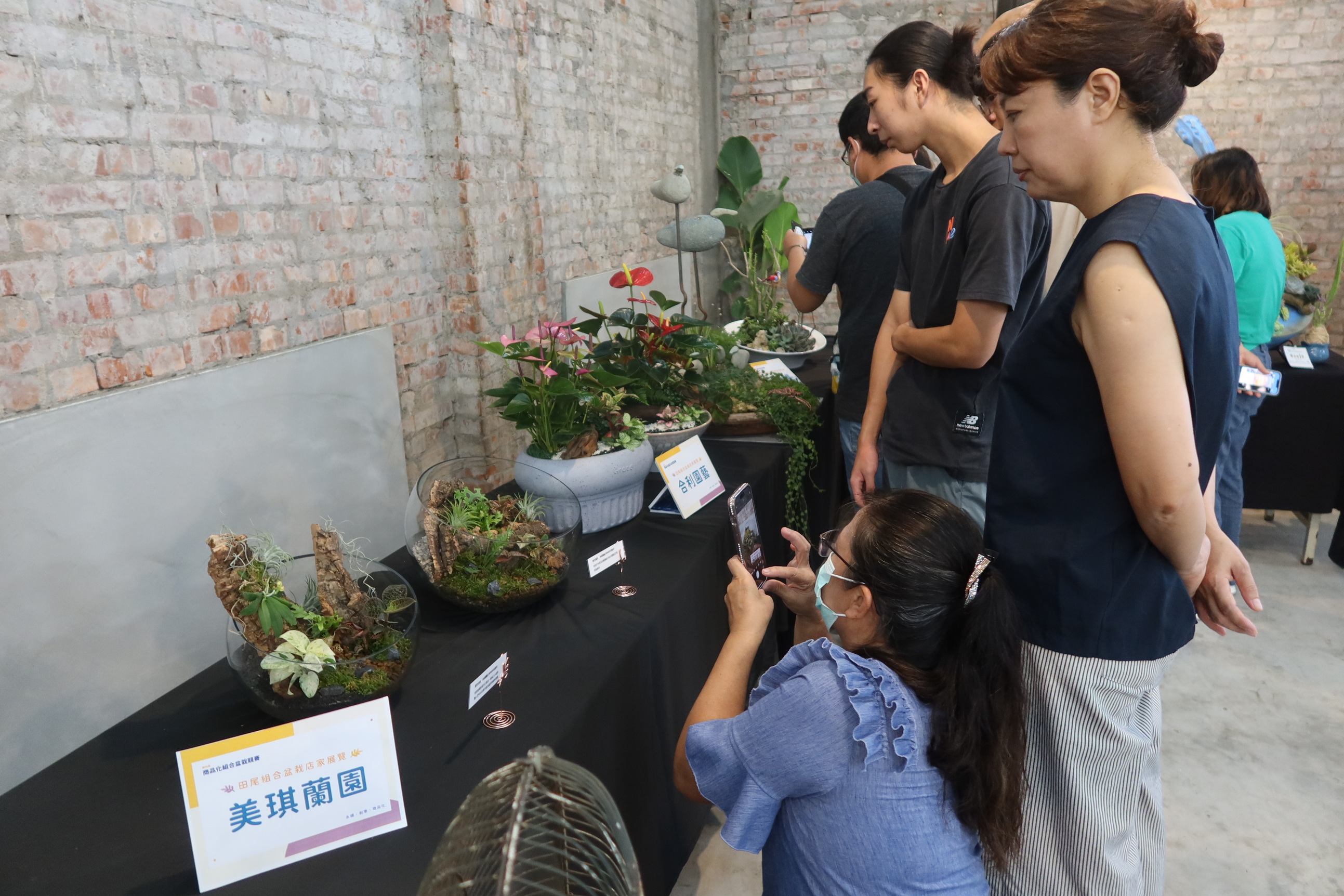 ▲田尾公路花園協會將於9月28-29日舉辦第四屆商品化組合盆栽競賽，參賽者前訓課程讓選手預先準備。（記者張溎壕攝）
