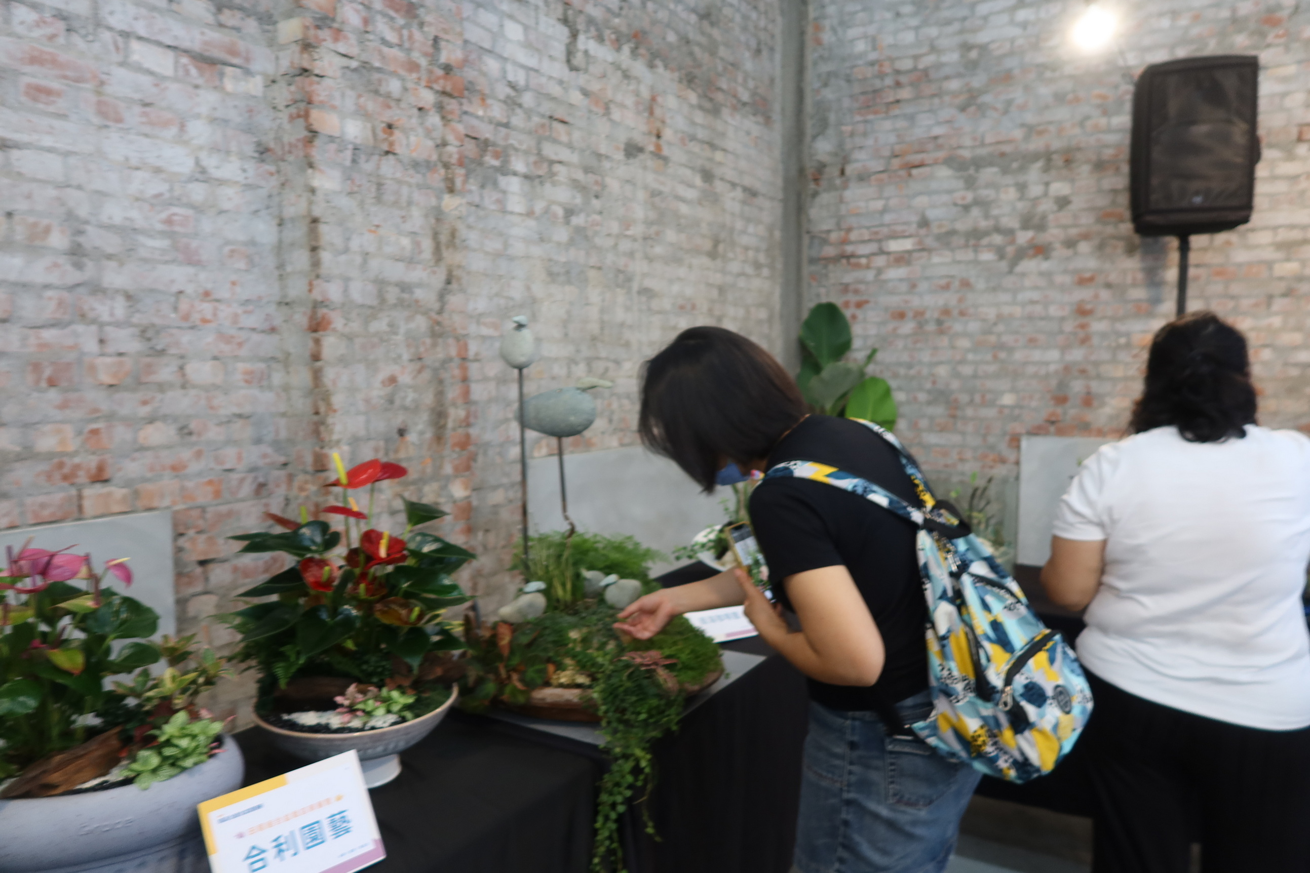 ▲田尾公路花園協會將於9月28-29日舉辦第四屆商品化組合盆栽競賽，參賽者前訓課程讓選手預先準備。（記者張溎壕攝）