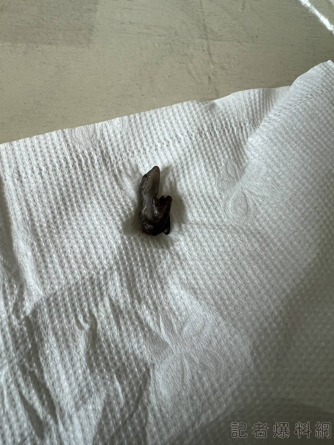 噁!台中女買珍珠紅茶 吞進蜥蝪下半身讓她超崩潰