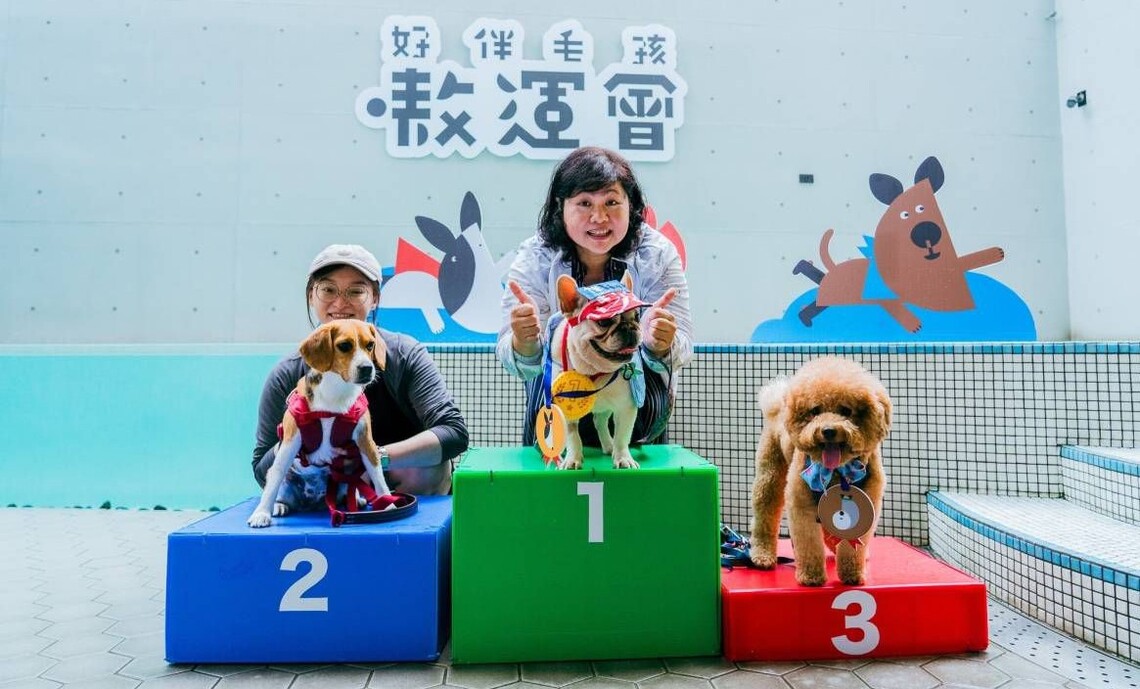 「泳汪直前游泳賽」輕量級12汪星人競逐 法鬥犬Bunny(邦尼)奪冠