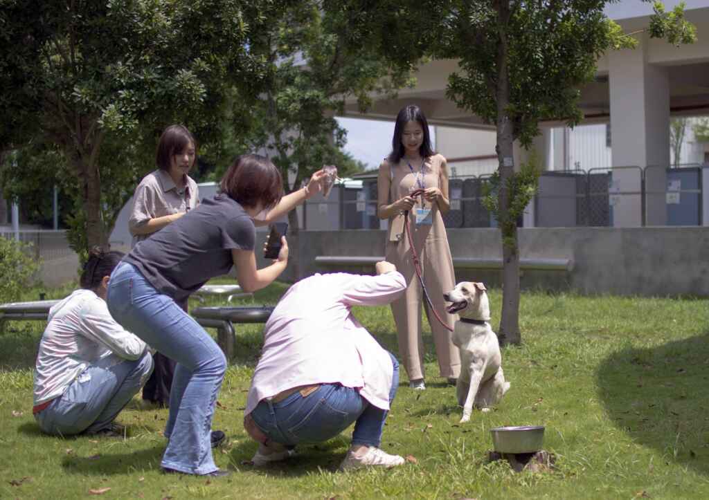 ▲毛孩攝影師新手班開班,帶著飼主一起拍出毛孩網美照。(台中市動保處提供)