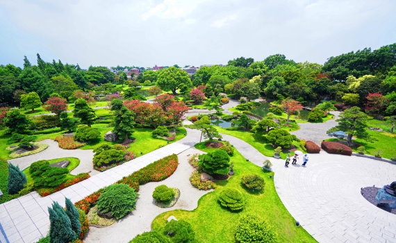 巴黎奧運奪金!成美文化園推名字有「麟、洋、婷」免費入園