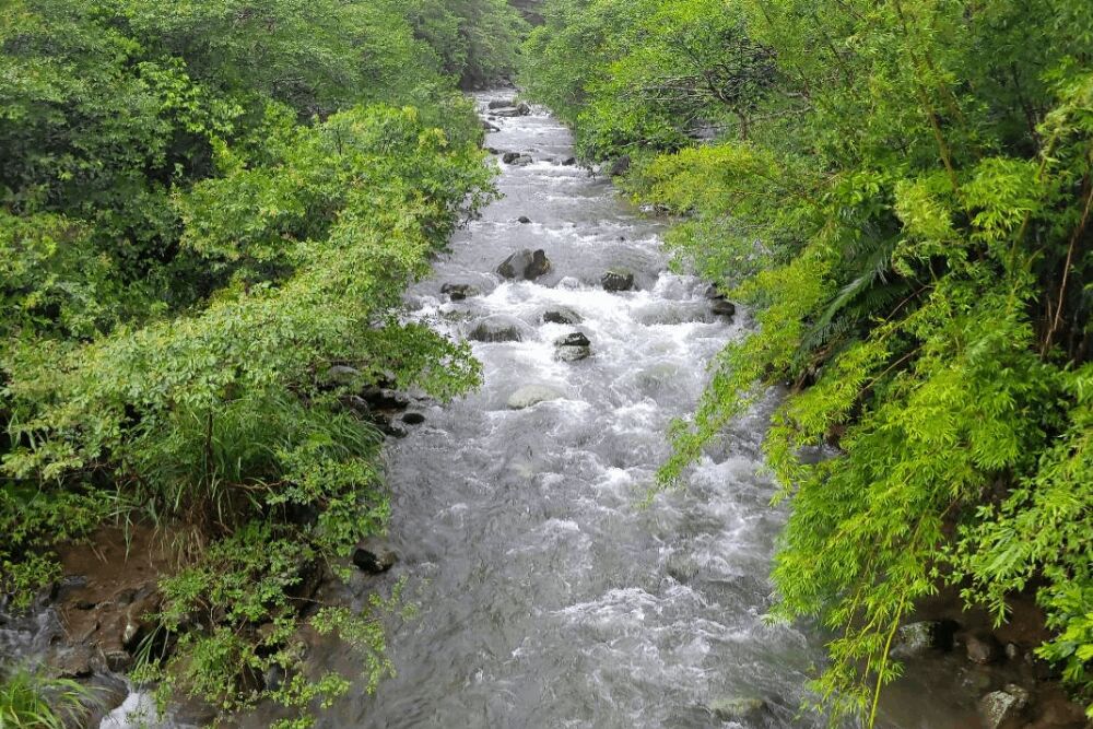 推河川「近自然工法」拆水泥疊石塊 洪申翰:兼顧生態、灌溉及防災 251 照片來源:洪申翰國會辦公室