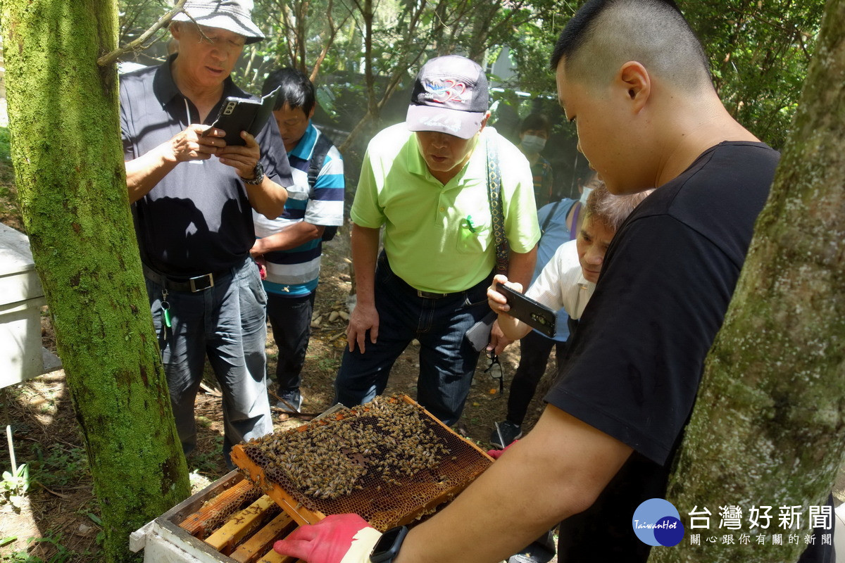 講師介紹蜂巢內巢片密度應隨氣溫略微調整及減緩寒害方式。(圖/林業保育署南投分署提供)