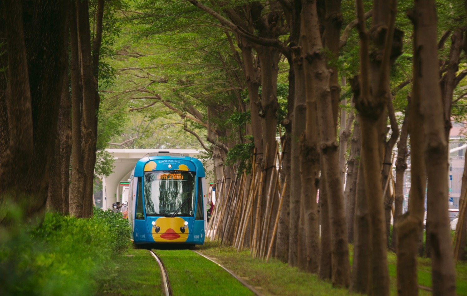 高市優化輕軌路口交通指引 提升輕軌公共運輸效能