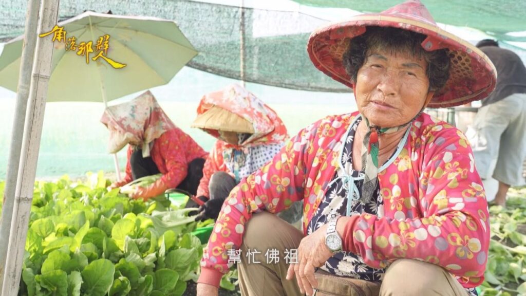 金視獎/探索在地多樣風貌 展現地方文化與人情