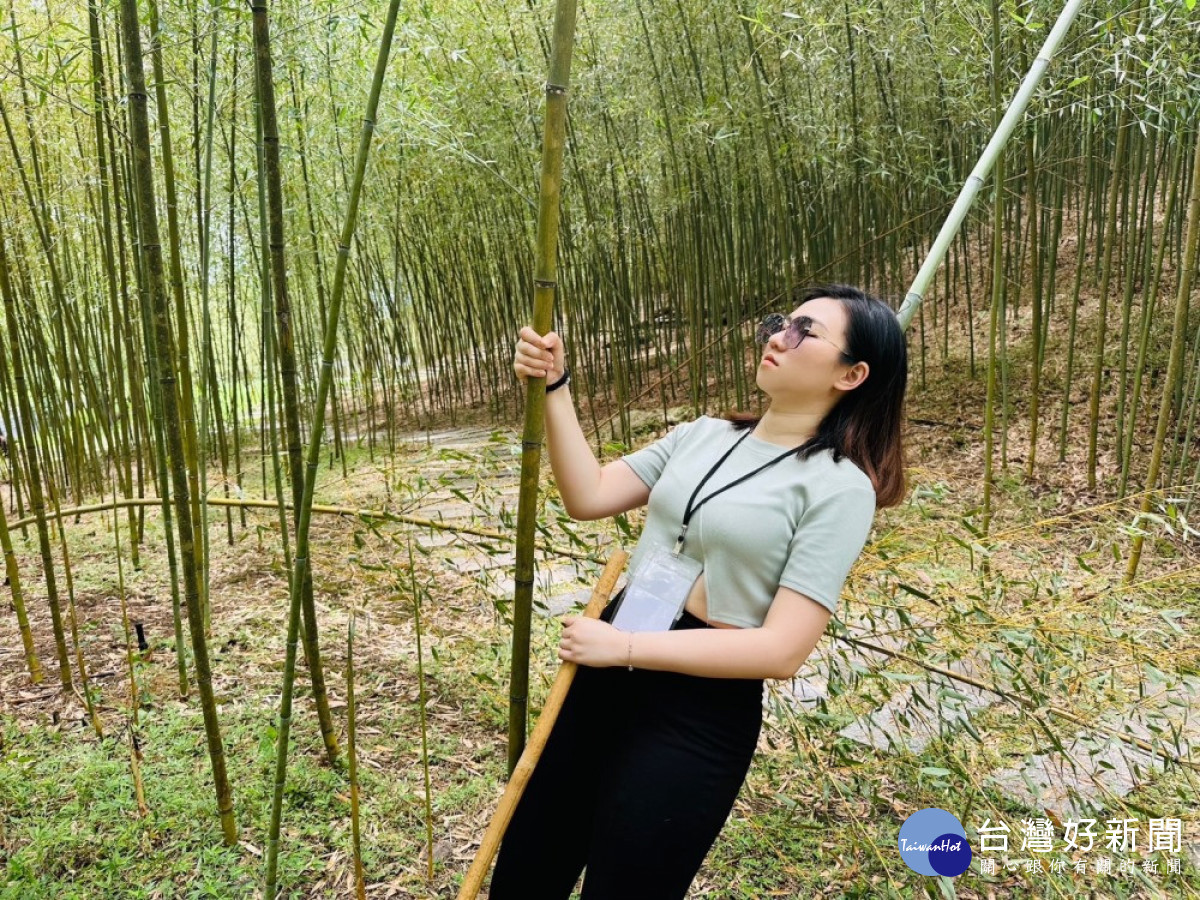 到羅山村的竹林漫遊,躺竹體驗,紓壓解乏。(圖/記者王丰禾攝)