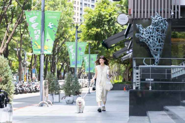 ▲草悟道一直是毛孩與飼主最愛的聚集地。（台中觀旅局提供）