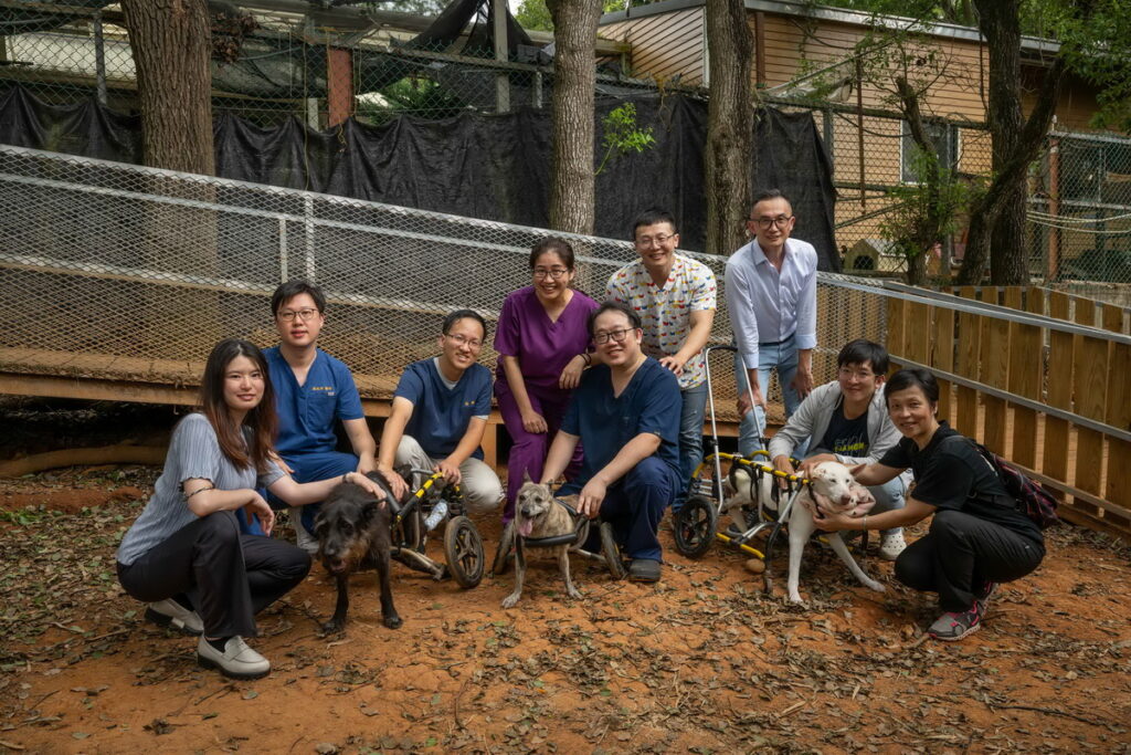 本次公益活動另一特色,共有七家台中在地動物醫院公益響應,一同落實對寵物福祉的最大承諾